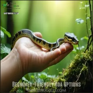 Beginner-Friendly Boa Options Beginner-Friendly Boa Options