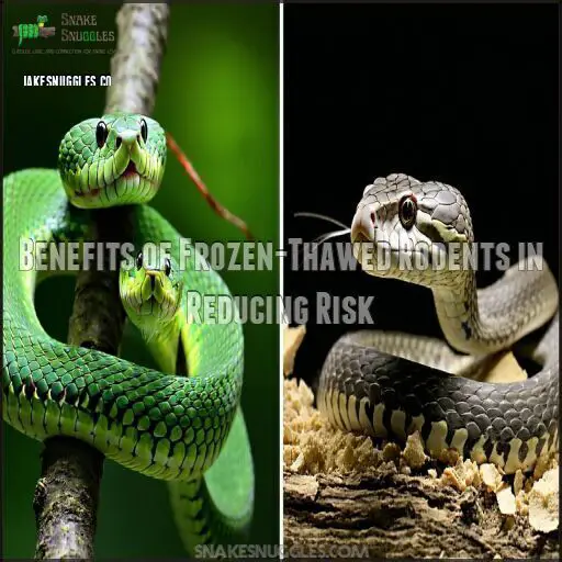 Image showcasing Pros and Cons of Feeding Live Rodents to Snakes: Risks and Benefits