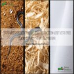 Image showcasing What Substrate for Snake Habitat: Complete Guide to Safe Bedding