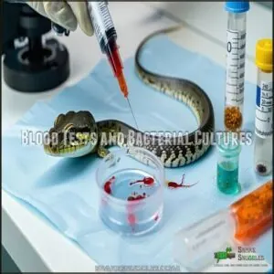 Blood Tests and Bacterial Cultures Blood Tests and Bacterial Cultures