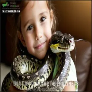 Boa Constrictor Friendliness Boa Constrictor Friendliness