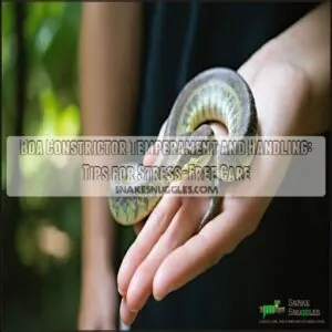 boa constrictor temperament and handling boa constrictor temperament and handling
