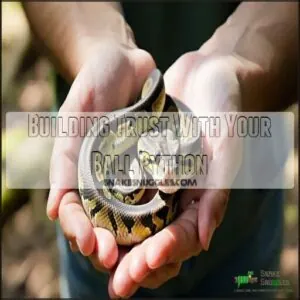 Building Trust With Your Ball Python Building Trust With Your Ball Python