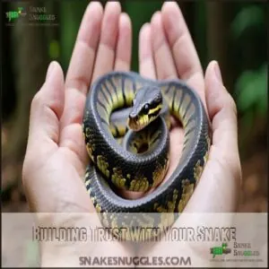 Building Trust With Your Snake Building Trust With Your Snake