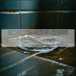 can snakes come up through shower drains