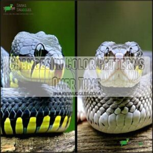Changes in Color Patterns Over Time
