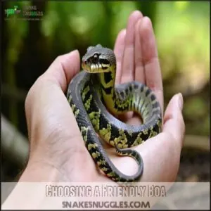 Choosing a Friendly Boa Choosing a Friendly Boa