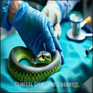 Clinical Signs and Diagnosis Clinical Signs and Diagnosis