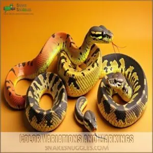 Color Variations and Markings Color Variations and Markings