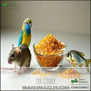 Common Snake Food Alternatives to Mice Common Snake Food Alternatives to Mice