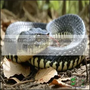 common snake parasites symptoms common snake parasites symptoms