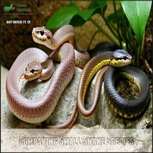 Comparing Small Snake Species