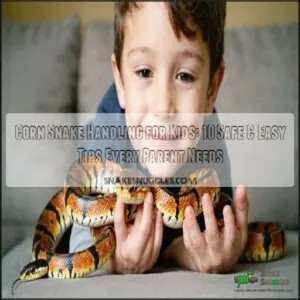 corn snake handling for kids corn snake handling for kids