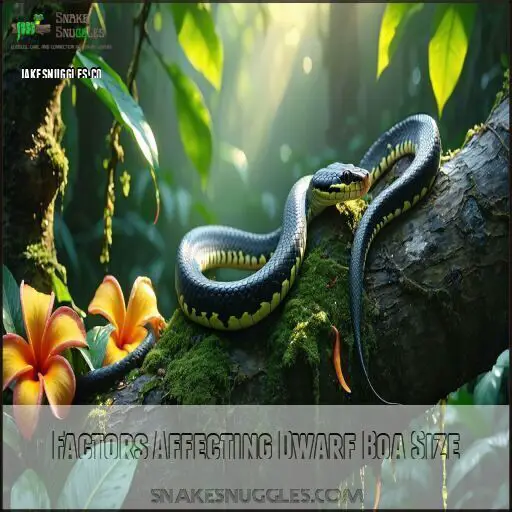 Dwarf Boa Constrictor Full Size: How Big & How Long They Grow!