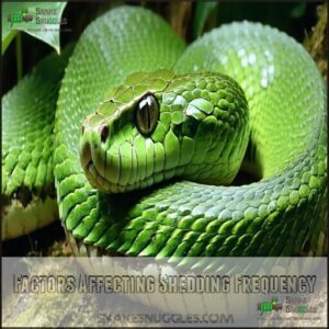 Factors Affecting Shedding Frequency