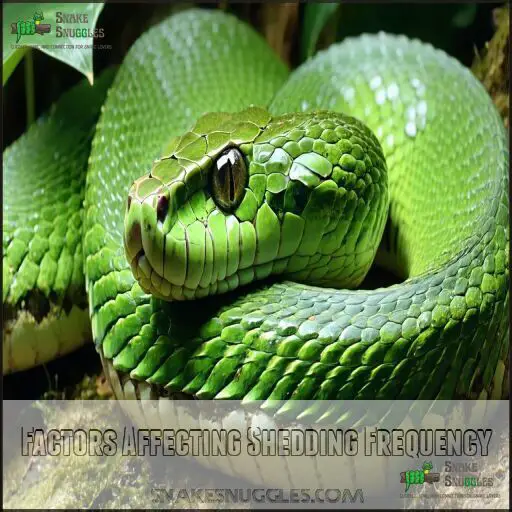 When Do Snakes Shed Their Skin? Learn Timing & Factors Affecting Shedding