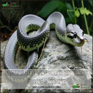 Factors Affecting Snake Movement During Shedding