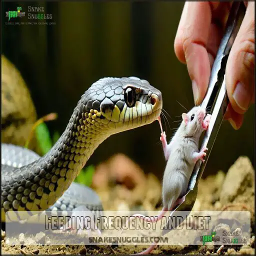 Hognose Snake Care Guide: Tips for a Happy and Healthy Pet Snake