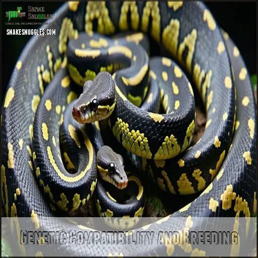 Ball Python Morph Compatibility Chart: 50+ Stunning Combinations Revealed!