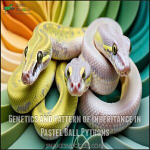 Genetics and Pattern of Inheritance in Pastel Ball Pythons