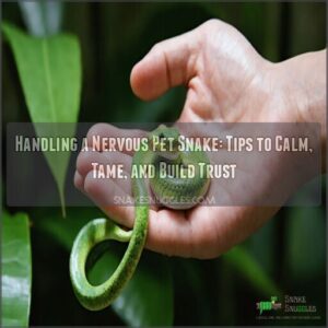 handling a nervous pet snake