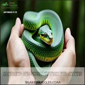 Handling and Socialization for Snakes Handling and Socialization for Snakes