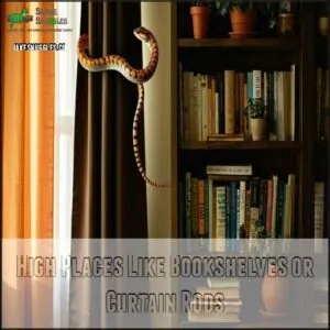 High Places Like Bookshelves or Curtain Rods High Places Like Bookshelves or Curtain Rods