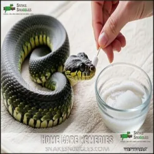 Home Care Remedies Home Care Remedies