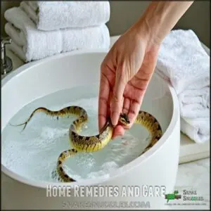 Home Remedies and Care Home Remedies and Care