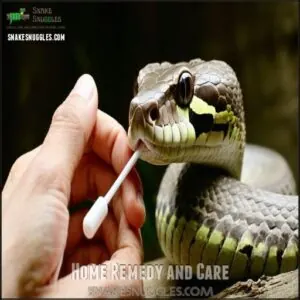Home Remedy and Care Home Remedy and Care