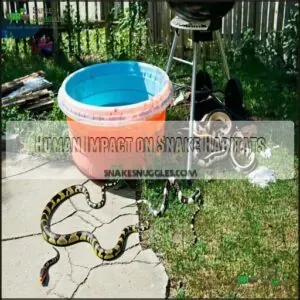 Human Impact on Snake Habitats Human Impact on Snake Habitats