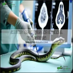 Imaging Techniques and Internal Examination Imaging Techniques and Internal Examination