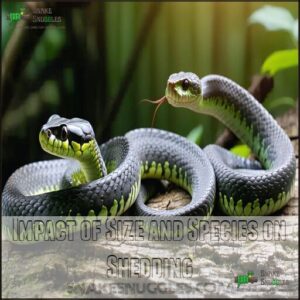Impact of Size and Species on Shedding