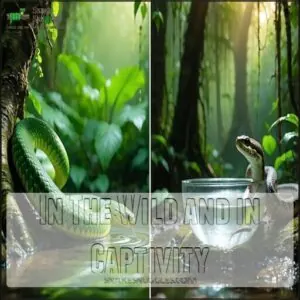 In The Wild and in Captivity In The Wild and in Captivity