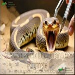View of Kenyan Sand Boa Care: Appearance, Diet, Lifespan, Tank Setup & More