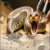 Kenyan Sand Boa Care: Appearance, Diet, Lifespan, Tank Setup & More