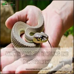 Kenyan Sand Boa Handling and Temperament Kenyan Sand Boa Handling and Temperament