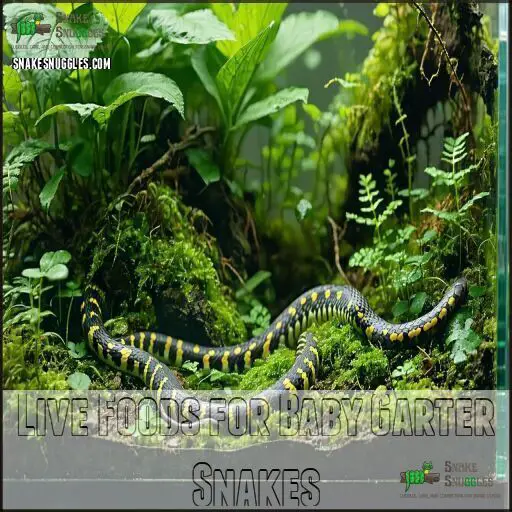 View of How to Get Baby Garter Snakes to Eat: Expert Tips for Feeding Success