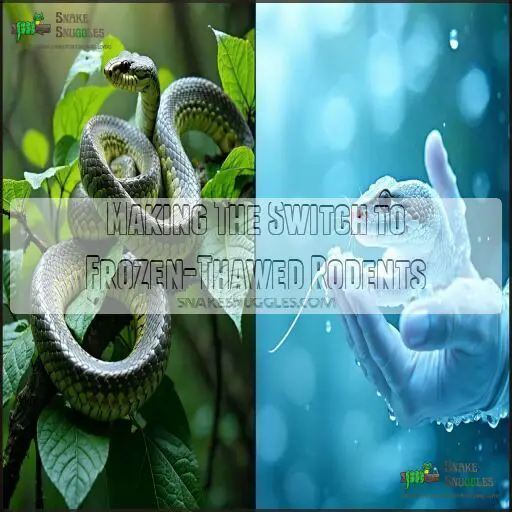 Pros and Cons of Feeding Live Rodents to Snakes: Risks and Benefits
