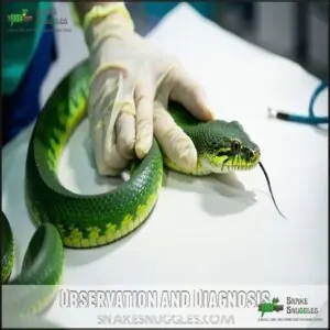 Observation and Diagnosis Observation and Diagnosis