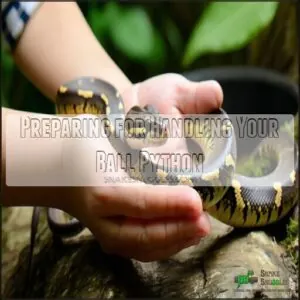 Preparing for Handling Your Ball Python Preparing for Handling Your Ball Python