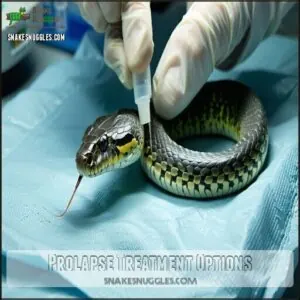 Prolapse Treatment Options Prolapse Treatment Options