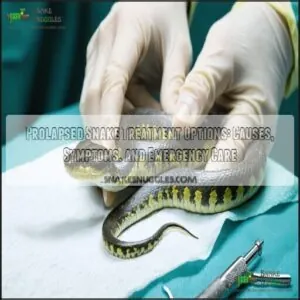 prolapsed snake treatment options prolapsed snake treatment options