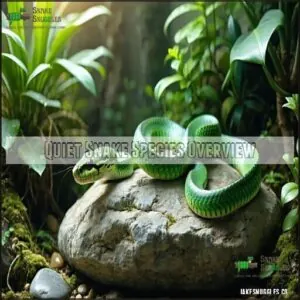Quiet Snake Species Overview Quiet Snake Species Overview