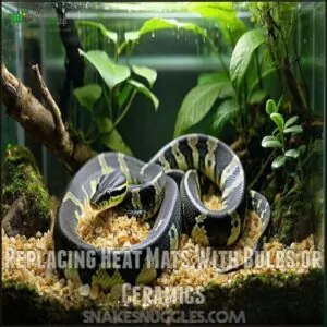 Replacing Heat Mats With Bulbs or Ceramics Replacing Heat Mats With Bulbs or Ceramics