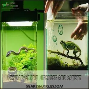 Reptile-Borne Diseases and Safety Reptile-Borne Diseases and Safety