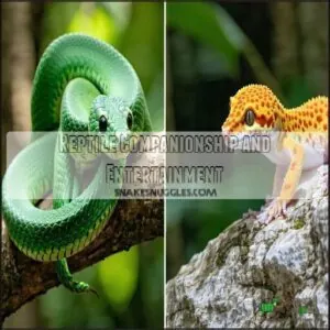 Reptile Companionship and Entertainment Reptile Companionship and Entertainment