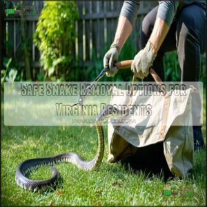 Safe Snake Removal Options for Virginia Residents