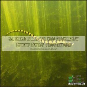 sea snakes in gulf of mexico