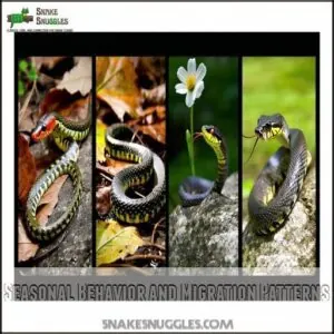 Seasonal Behavior and Migration Patterns Seasonal Behavior and Migration Patterns